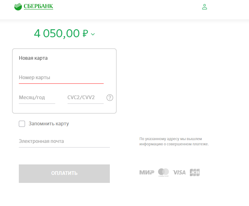 Страница оплаты Сбербанк. Платежная форма Сбербанка. Оплата картой. Форма оплаты Сбербанк для сайта. Оплата через форму